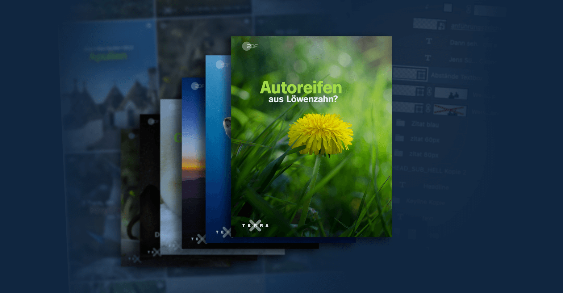 Portfolio Projekt Cover Bild Terra X Nature